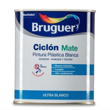 PINTURA CICLON MATE B.750