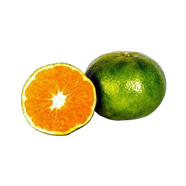 MANDARINO SATSUMA (CITRUS UNSHIU)