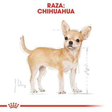 ROYAL CANIN CHIHUAHUA WET POUCH 85 GR